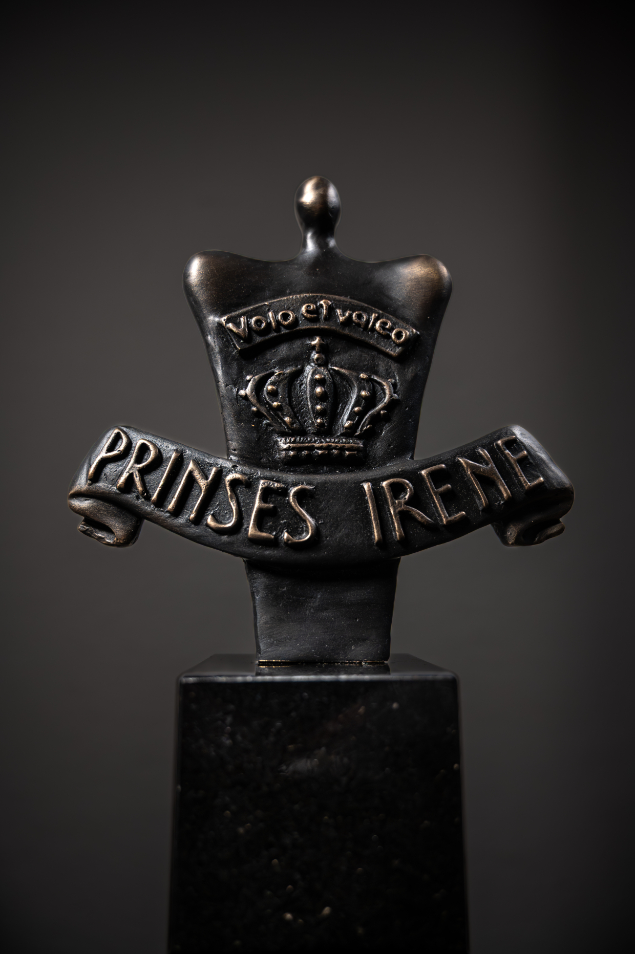 Het Bronzen Fuselier beeld