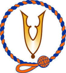 Logo VVVGFPI